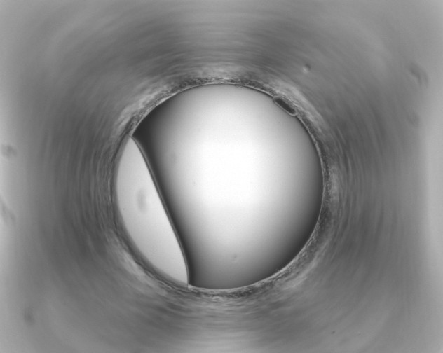 X0000091330585200708101003