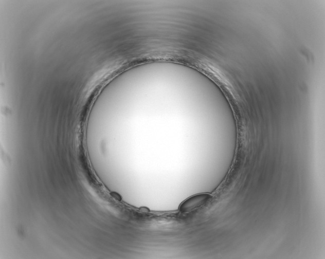 X0000091330586200708101003