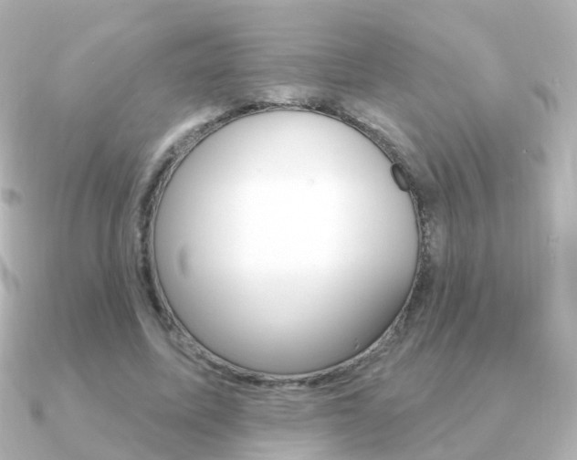 X0000091330587200708101003