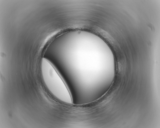 X0000091330588200708101003