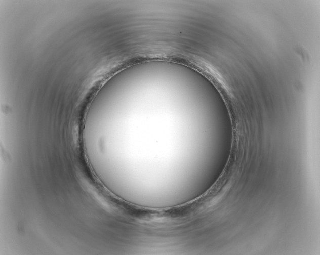 X0000091330589200708101003
