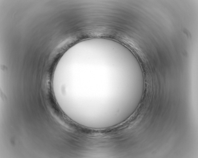 X0000091330590200708101003
