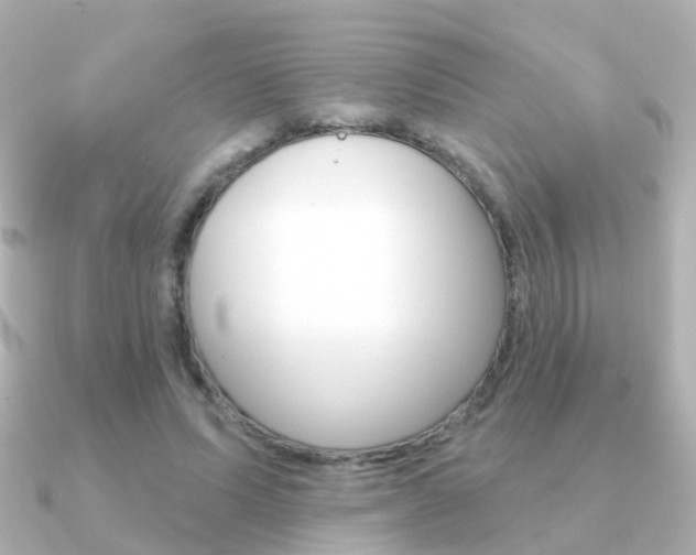 X0000091330591200708101003