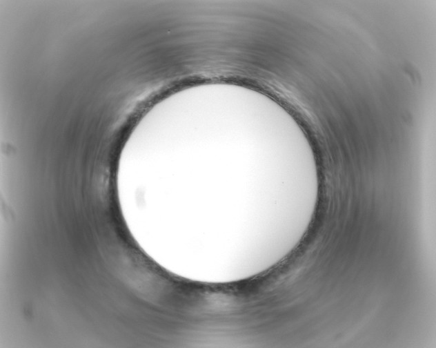 X0000091330592200708101003