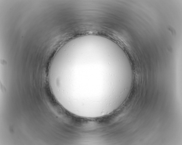 X0000091330594200708101003