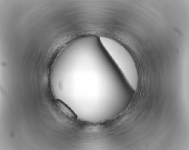 X0000091330595200708101003