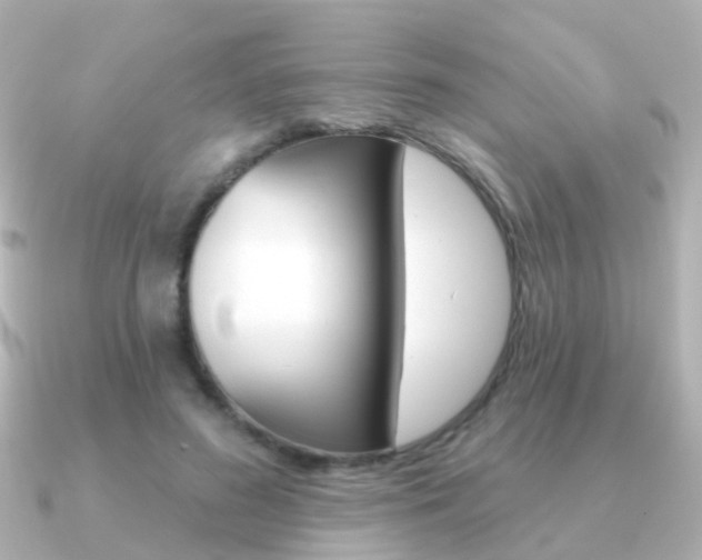 X0000091330596200708101003