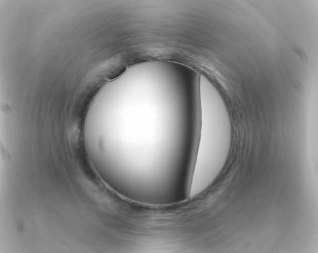 X0000091330597200708101003