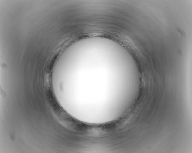 X0000091330598200708101003