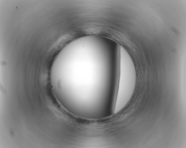 X0000091330600200708101003