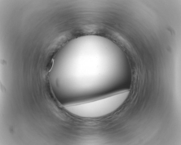 X0000091330601200708101003