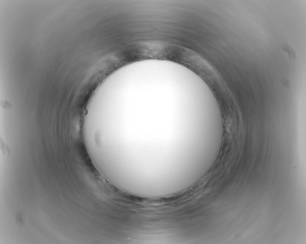 X0000091330602200708101003