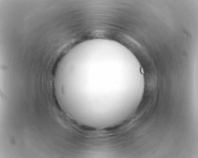 X0000091330603200708101003