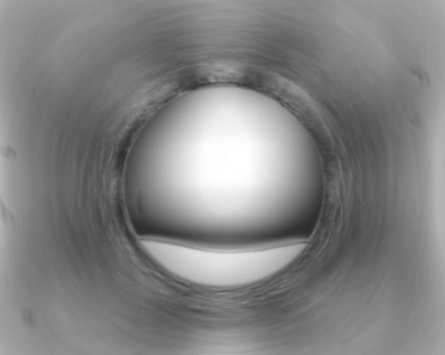 X0000091330604200708101003