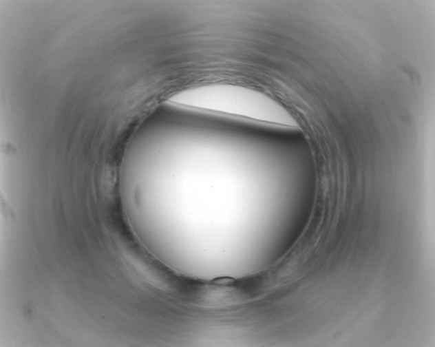 X0000091330605200708101003