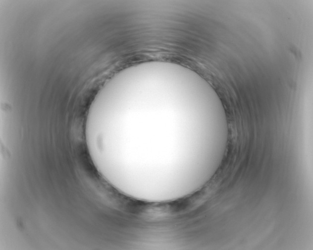X0000091330606200708101003