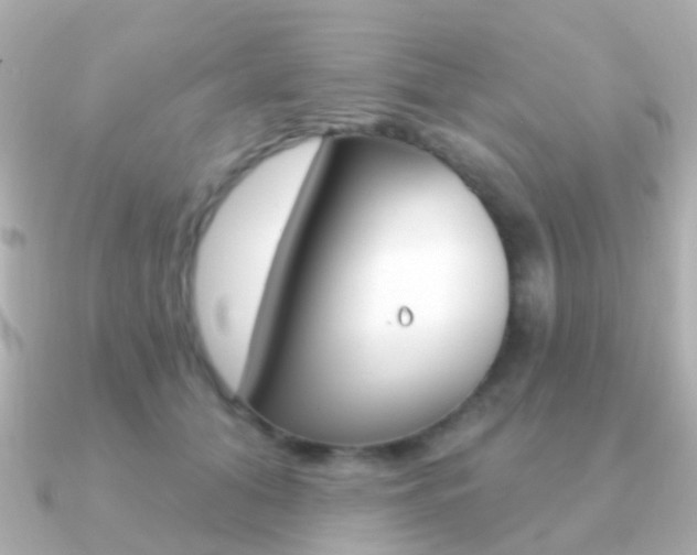 X0000091330608200708101003