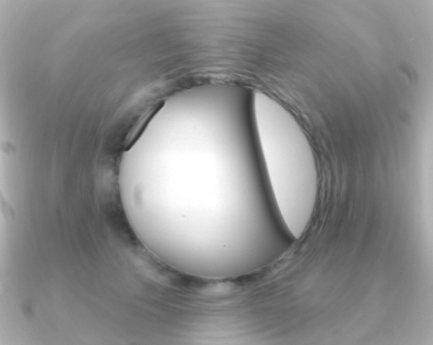 X0000091330609200708101003