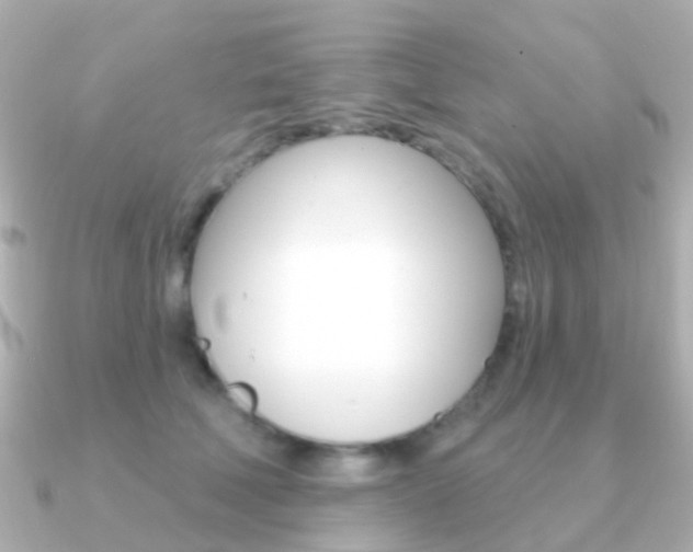 X0000091330610200708101003