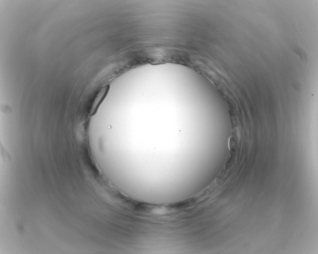 X0000091330611200708101003