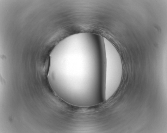 X0000091330613200708101003