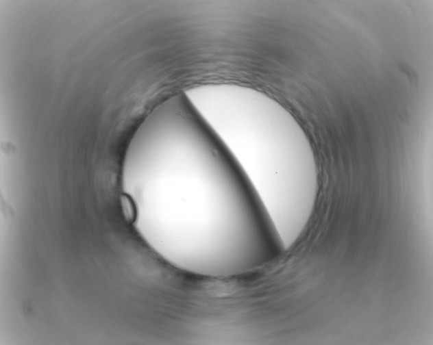 X0000091330615200708101003