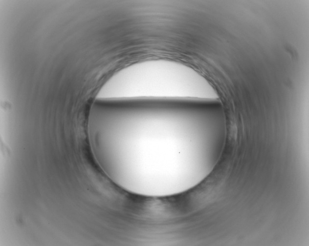 X0000091330616200708101003