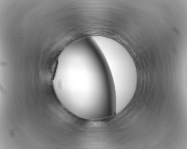 X0000091330617200708101003
