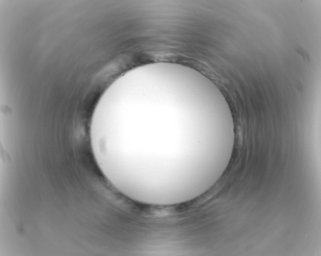 X0000091330618200708101003