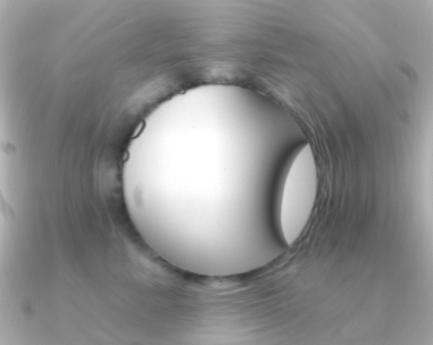 X0000091330619200708101003