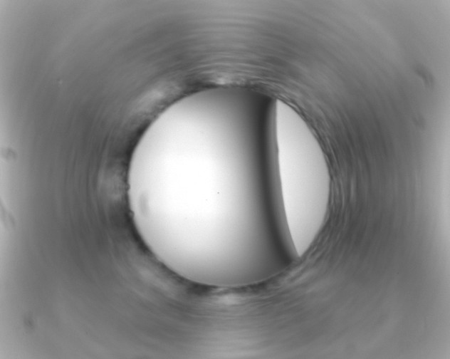 X0000091330620200708101003