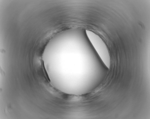 X0000091330621200708101003