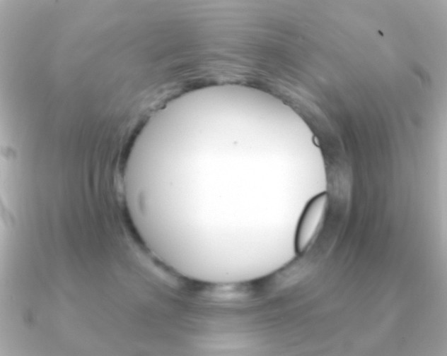 X0000091330622200708101003