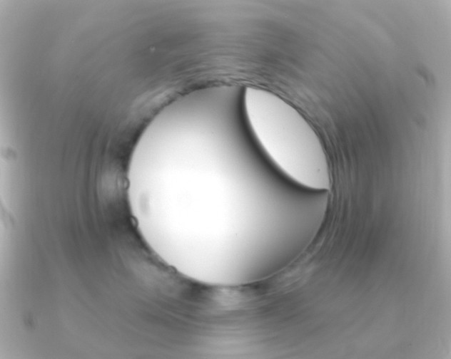 X0000091330623200708101003