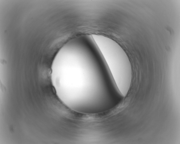 X0000091330624200708101003