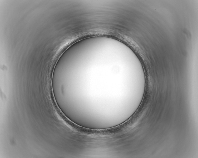 X0000091330625200708101002