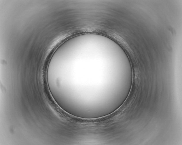 X0000091330626200708101002