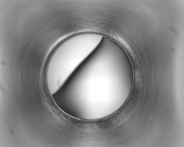 X0000091330628200708101002
