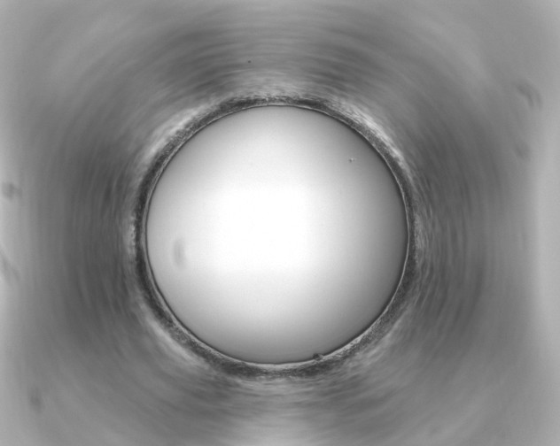 X0000091330629200708101002