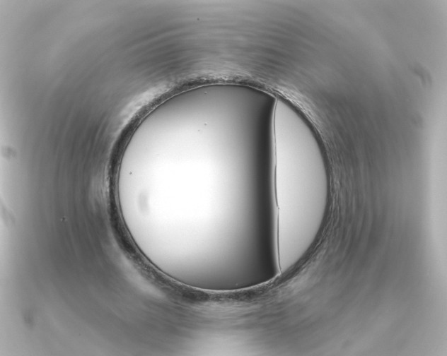 X0000091330630200708101002