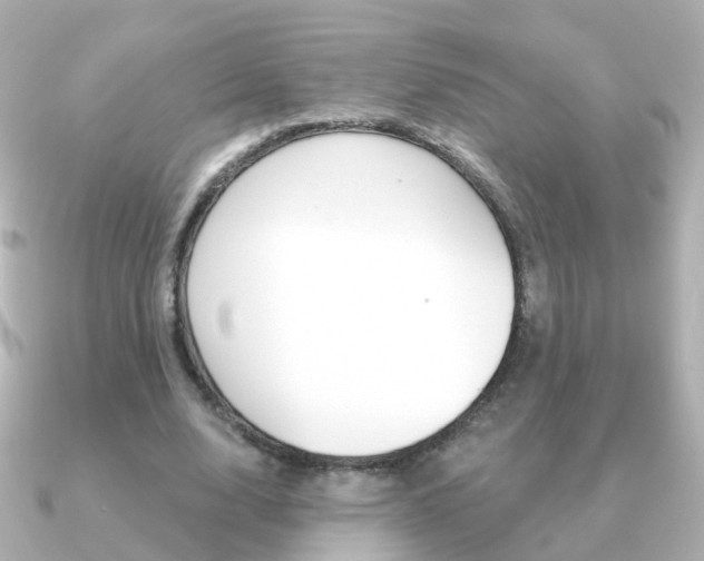 X0000091330632200708101002