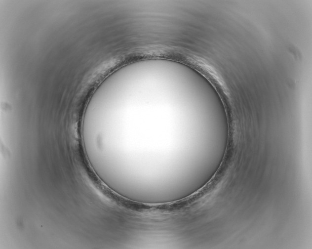 X0000091330633200708101002