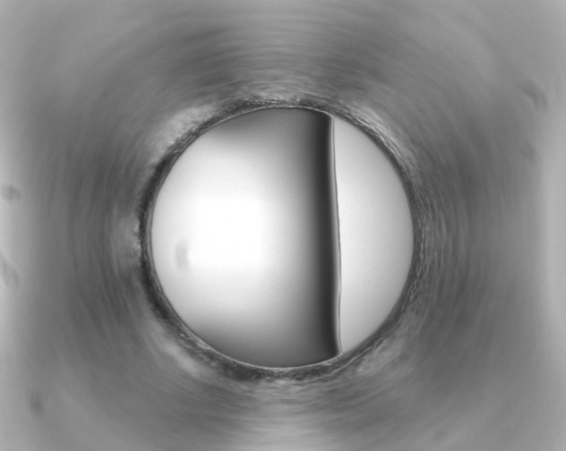 X0000091330634200708101002
