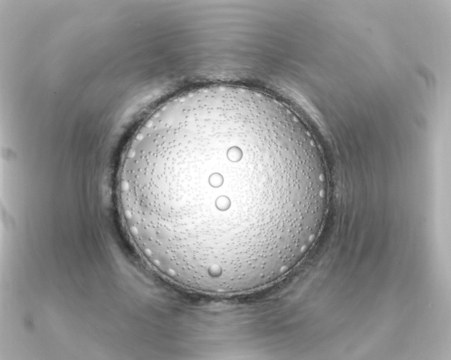 X0000091330635200708101002