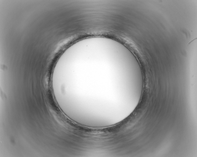 X0000091330636200708101002