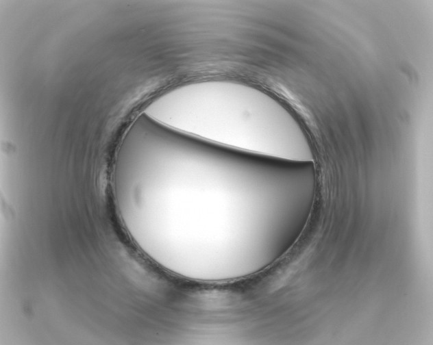 X0000091330637200708101002