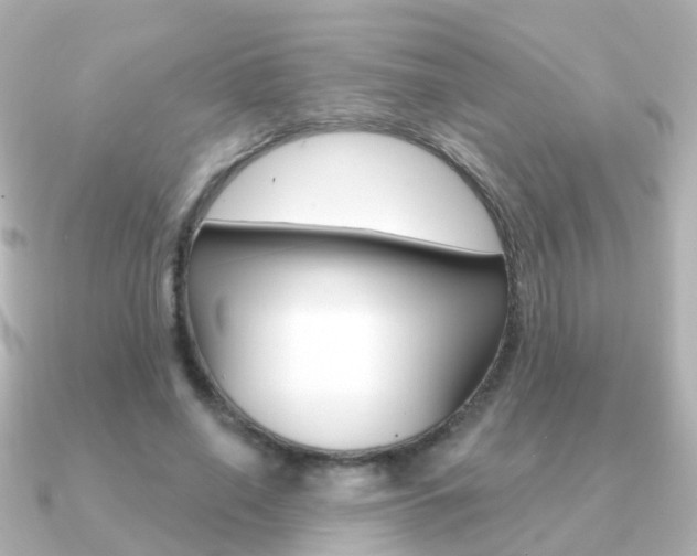 X0000091330638200708101002
