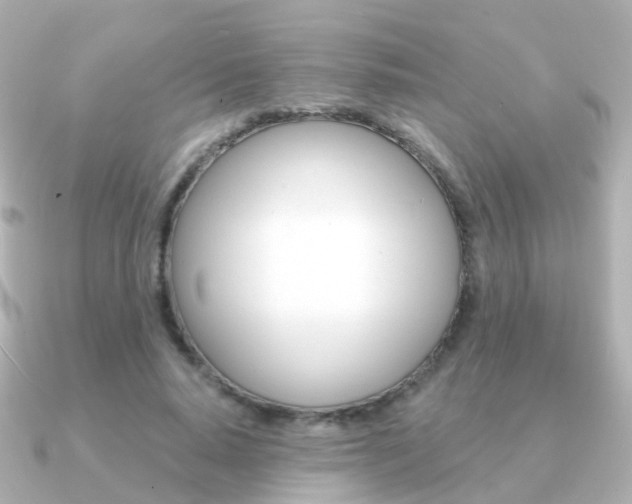 X0000091330640200708101002