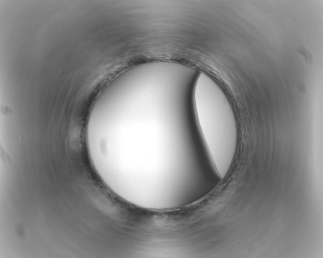 X0000091330641200708101002