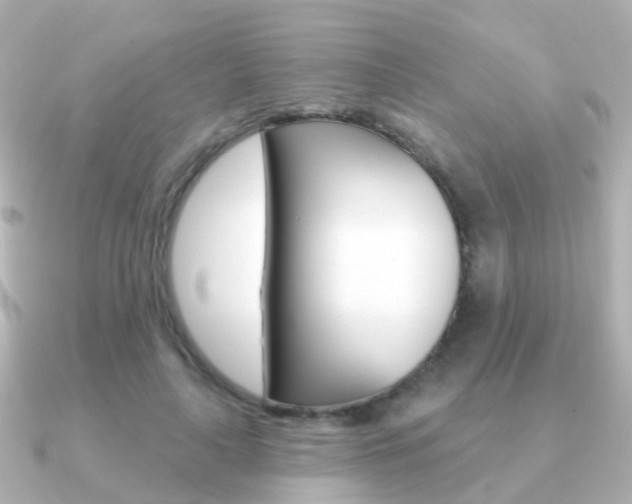 X0000091330643200708101002